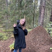 ���������� �����-���������, ���� ������� �����, 36 ���, ������������ 