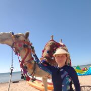 ���������� �����-���������, ���� ������� Lu, 58 ���, ������������ ��� ������, ����� � ���������, c�������� ���������