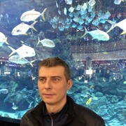 ���������� �������, ���� ������� ������, 43 ����, ������������ ��� ������, ����� � ���������, c�������� ���������