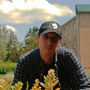  ,  LESNIK, 33