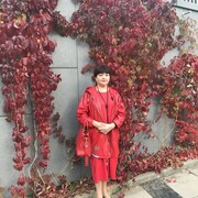 ���������� ���������, ������� �����, 63