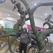 ���������� ����, ���� ������� ���������, 44 ����, ������������ ��� ������, ����� � ���������