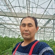 ���������� �������, ���� ������� �����, 40 ���, ������������ ��� ������, ����� � ���������