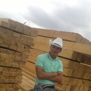 ���������� ����, ���� ������� LESHA, 44 ����, ������������ ��� ������, ����� � ���������, c�������� ���������