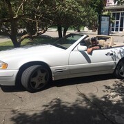 ���������� ����, ���� ������� ���, 38 ���, ������������ ��� ������, ����� � ���������