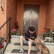  ,   , 29 ,     