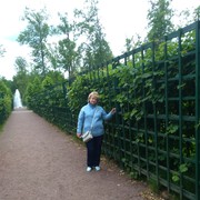  ,   , 57 ,  