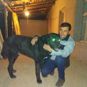 ���������� ������, ���� ������� ������, 42 ����, ������������ ��� ����� � ���������, ���������