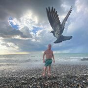 ���������� ������, ���� ������� ���������, 39 ���, ������������ ��� ����� � ���������, c�������� ���������, ���������