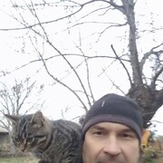  ,   , 50 ,   c 