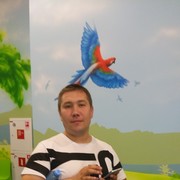  ,   , 39 ,   ,   , c 