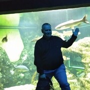 ���������� ������, ���� ������� ���������, 61 ���, ������������ ��� ������, ����� � ���������, c�������� ���������