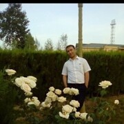 ���������� �����-���������, ���� ������� Amir, 38 ���, ������������ ��� ������, ����� � ���������, c�������� ���������, ���������