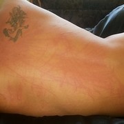 ���������� �����, ���� ������� ���, 37 ���, ������������ ��� ������