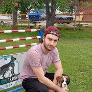 ���������� ������, ���� ������� ������, 27 ���, ������������ ��� ������, ����� � ���������, c�������� ���������