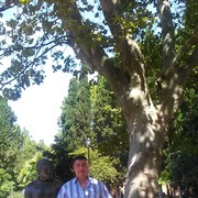 ���������� ����, ���� ������� Boba, 48 ���, ������������ ��� ������, ����� � ���������, c�������� ���������