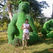  ,   , 36 ,   ,   , c 