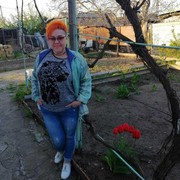  ,   , 55 ,  