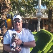 ���������� �����, ���� ������� ��������, 42 ����, ������������ ��� ������, ����� � ���������, c�������� ���������, ���������