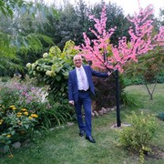 ���������� ���������, ���� ������� �������, 66 ���, ������������ ��� ������, ����� � ���������, c�������� ���������