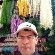 ���������� ������, ���� ������� ����, 52 ����, ������������ ��� ������, ����� � ���������, ���������