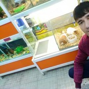  ,   , 37 ,   ,   , c 