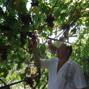 ���������� �������, ���� ������� ��������, 69 ���, ������������ ��� ����� � ���������, c�������� ���������