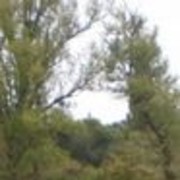  ,   0966217187, 33 ,  