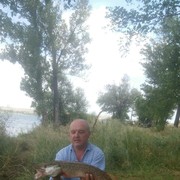  ,   , 61 ,   