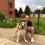 ���������� ������, ���� ������� ����, 41 ���, ������������ ��� ������, ����� � ���������