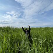 ���������� ���������, ���� ����� ���, 24 ����, ������������ ��� ������, ����� � ���������