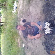   ,    , 41 ,   ,   , c , 