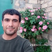 ���������� ����, ���� ������� Samir, 40 ���, ������������ ��� ����� � ���������, c�������� ���������