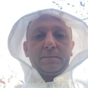 ���������� �����, ���� ������� ��������, 49 ���, ������������ ��� ����� � ���������, c�������� ���������