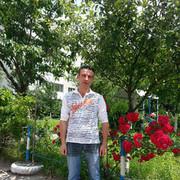 ���������� �����, ���� ������� �i���i�, 41 ���, ������������ ��� ������, ����� � ���������, c�������� ���������