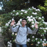  ,   Abror, 37 ,     , c 