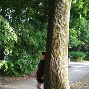 ���������� ������, ���� ������� �����, 40 ���, ������������ ��� ������, ����� � ���������, c�������� ���������