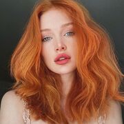  -,  , 22