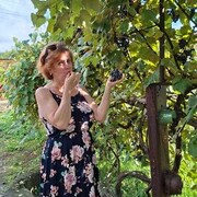 ���������� ����, ���� ������� �����, 60 ���, ������������ ��� ������, ����� � ���������