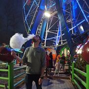 ���������� ������, ���� ������� �������, 29 ���, ������������ ��� ������, ����� � ���������, c�������� ���������, ���������