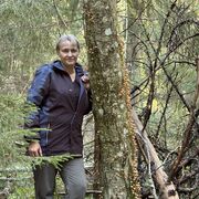 ���������� �����-���������, ���� ������� �����, 50 ���, ������������ ��� ����� � ���������, c�������� ���������