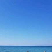 ���������� �����������, ���� ������� ��, 55 ���, ������������ ��� ������, ����� � ���������, c�������� ���������