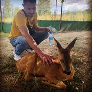 ���������� �����-���������, ���� ������� ����, 41 ���, ������������ ��� ������, ����� � ���������, c�������� ���������