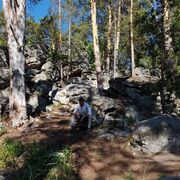 ���������� ��������, ���� ������� ���������, 41 ���, ������������ ��� ����� � ���������, c�������� ���������, ���������