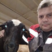 ���������� ��������, ���� ������� Dgggggsr, 78 ���, ������������ 