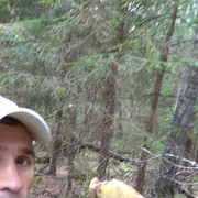 �������� ���, ����� ���������.