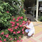 ���������� �������, ���� ������� ����, 65 ���, ������������ ��� ����� � ���������, c�������� ���������