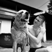 ���������� ����, ������ �������, 24