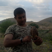  ,   Davo the, 38 ,   ,   , c 