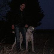 ���������� �������, ���� ������� Temo0092, 33 ����, ������������ ��� ������